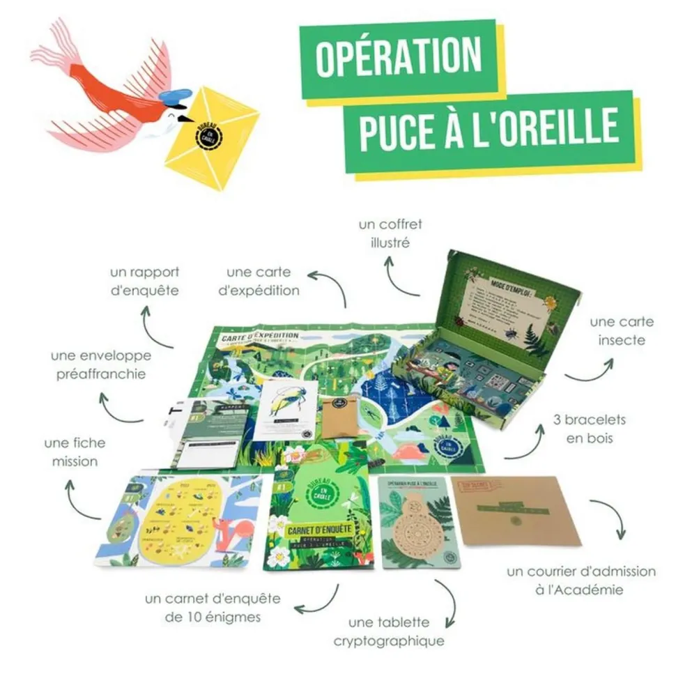 L'enquête par courrier : nature et insectes :enfant - Blackrock