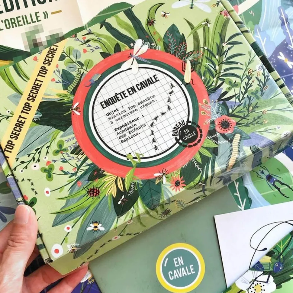 L'enquête par courrier : nature et insectes :enfant - Blackrock