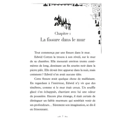 LES WHISPERWICKS - TOME 1 - LE LABYRINTHE SANS FIN - ÉDITION RELIÉE COLLECTOR - Editions Auzou