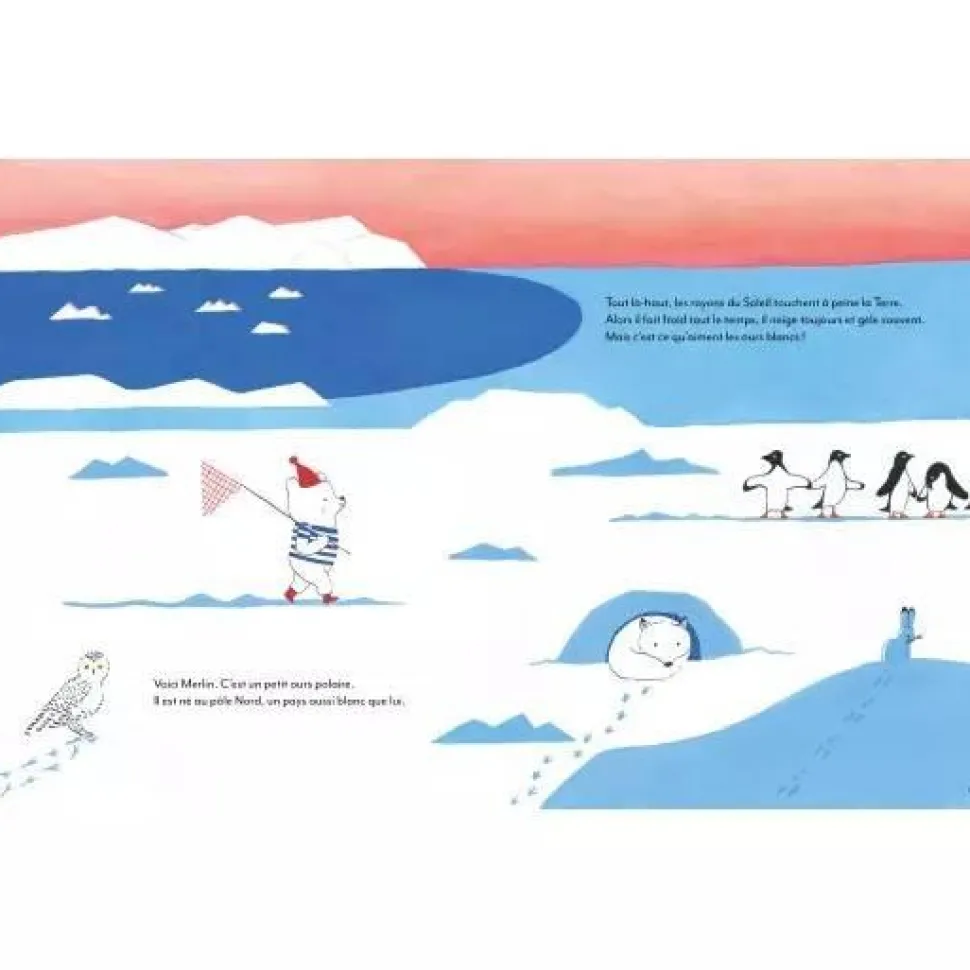 L'EXTRAORDINAIRE VOYAGE DE MERLIN AU PAYS DES OURS BRUNS - Editions Auzou