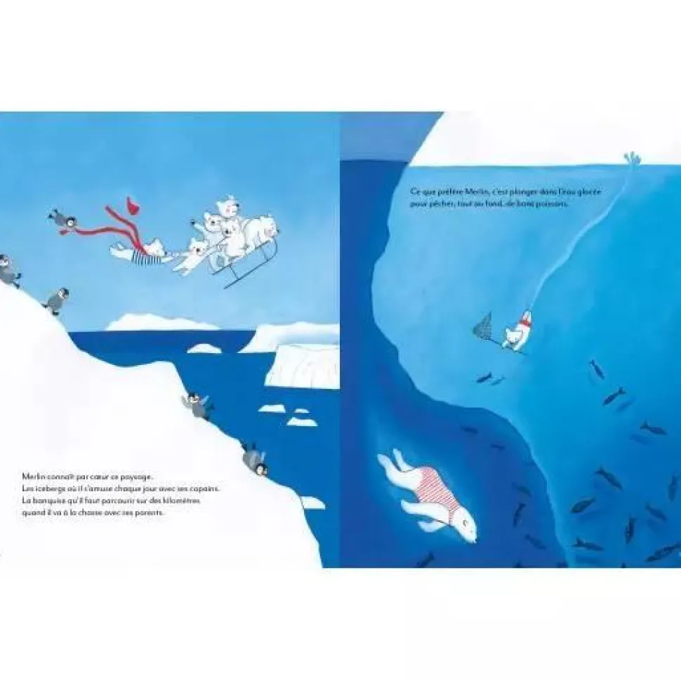 L'EXTRAORDINAIRE VOYAGE DE MERLIN AU PAYS DES OURS BRUNS - Editions Auzou