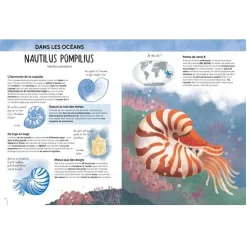 Livre de 64 pages : L'Atlas de la Biodiversité : Animaux Insolites & Curieux - Sassi