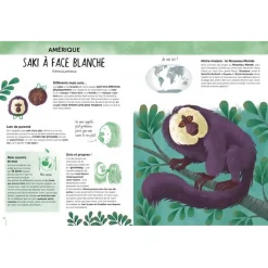 Livre de 64 pages : L'Atlas de la Biodiversité : Animaux Insolites & Curieux - Sassi