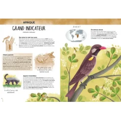 Livre de 64 pages : L'Atlas de la Biodiversité : Animaux Insolites & Curieux - Sassi
