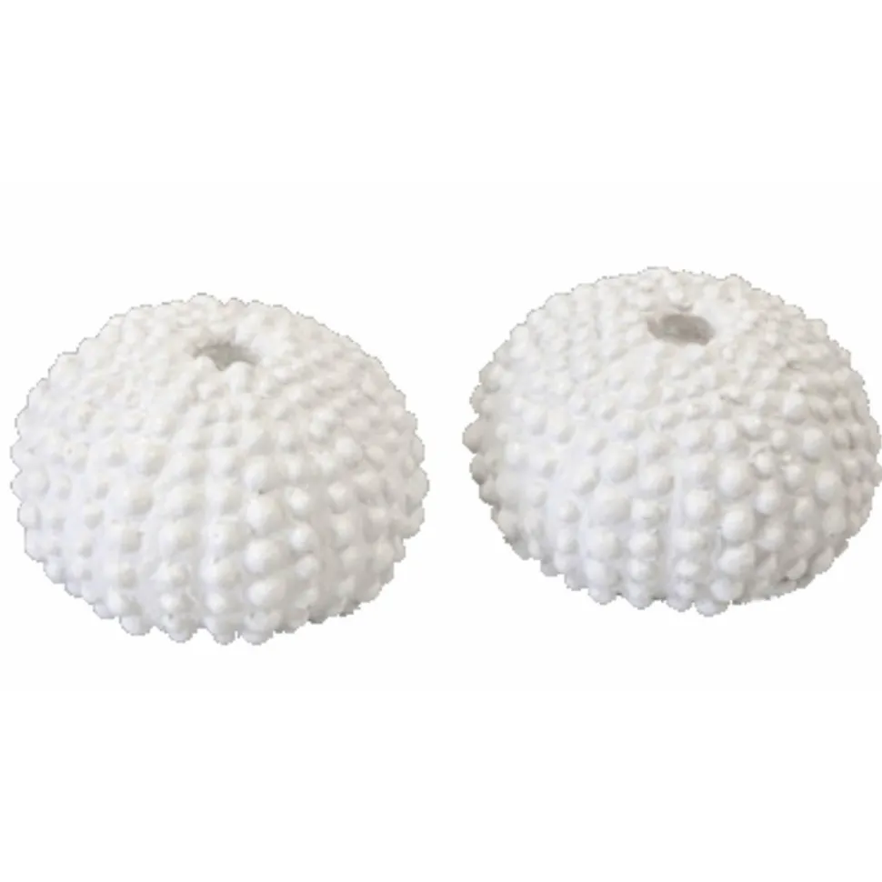 Lot de 2 squelettes d'Oursin blancs décos 4cm en résine - RueDeLaFete