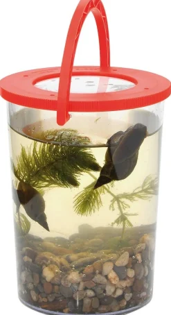 Loupe géante gobelet - Eduplay