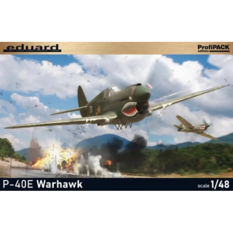 Maquette avion : P-40E Warhawk en 1:48 Profipack - Eduard
