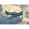 Maquette avion militaire : Hurricane Mk. IIC - Italeri