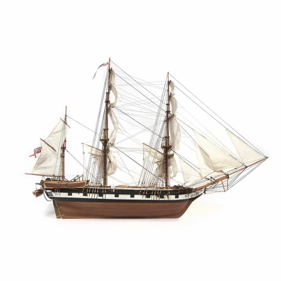 Maquette Bateau : Le HMS Beagle - OCCRE