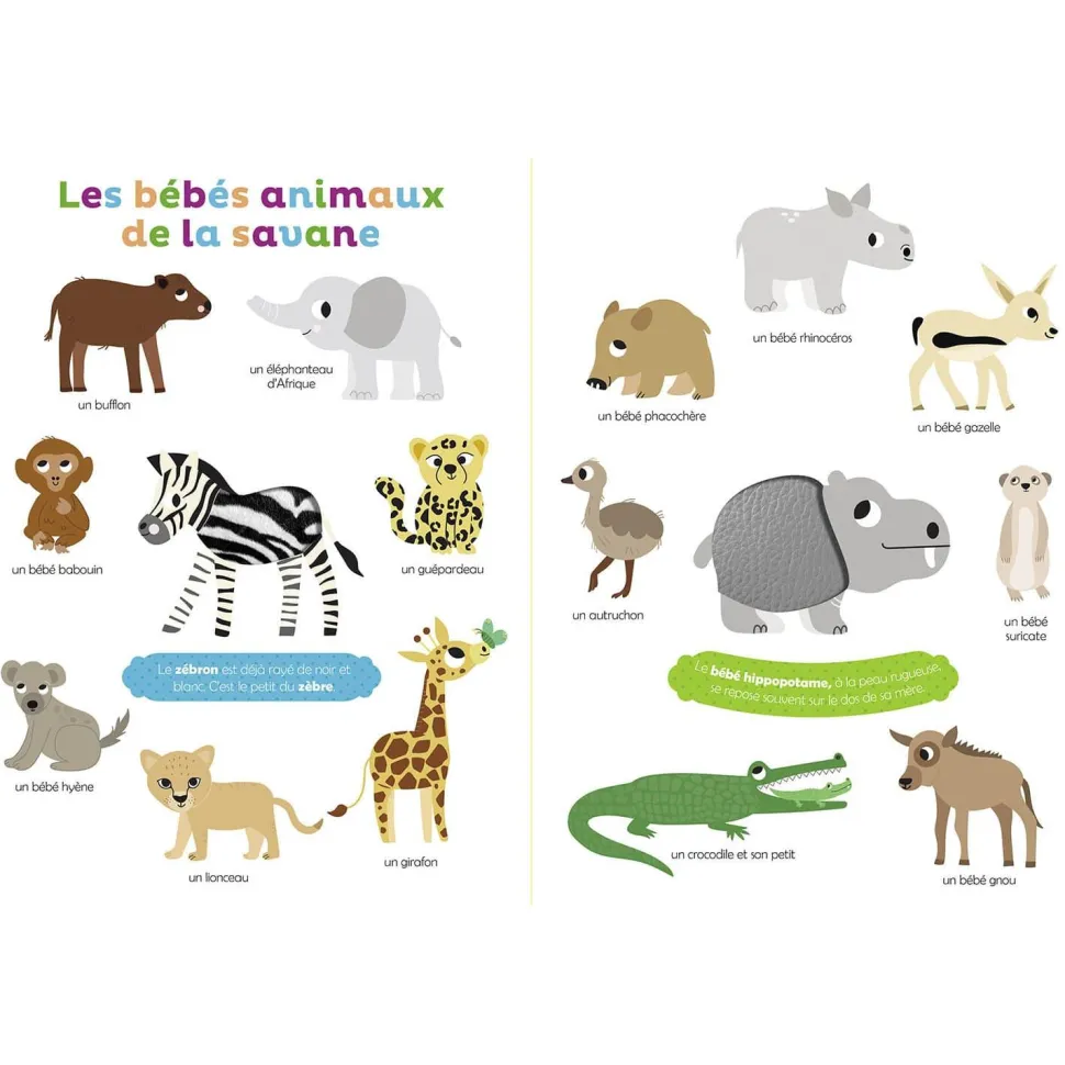 MES PREMIERS BÉBÉS ANIMAUX À TOUCHER - Editions Auzou
