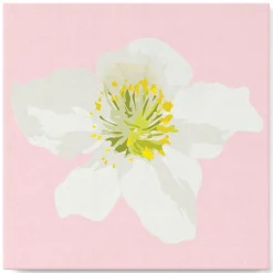 Mini peinture au numéro : Fleur d'Eglantier - toile tendue sur chassis - Figured'Art