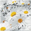 Mini peinture au numéro : Jolies Marguerites - toile tendue sur chassis - Figured'Art