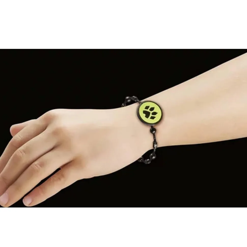 Miraculous : Adrien & Chat Noir - Playmobil