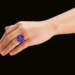 Miraculous : Papillon - Playmobil