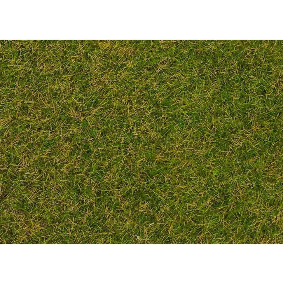 Modélisme : Végétation : Fibres de flocage, Herbes sauvages, Prairie début d'été - Faller