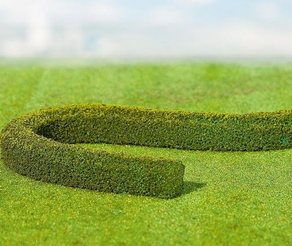 Modélisme : Végétation : Haies de décoration charmille Premium - Faller