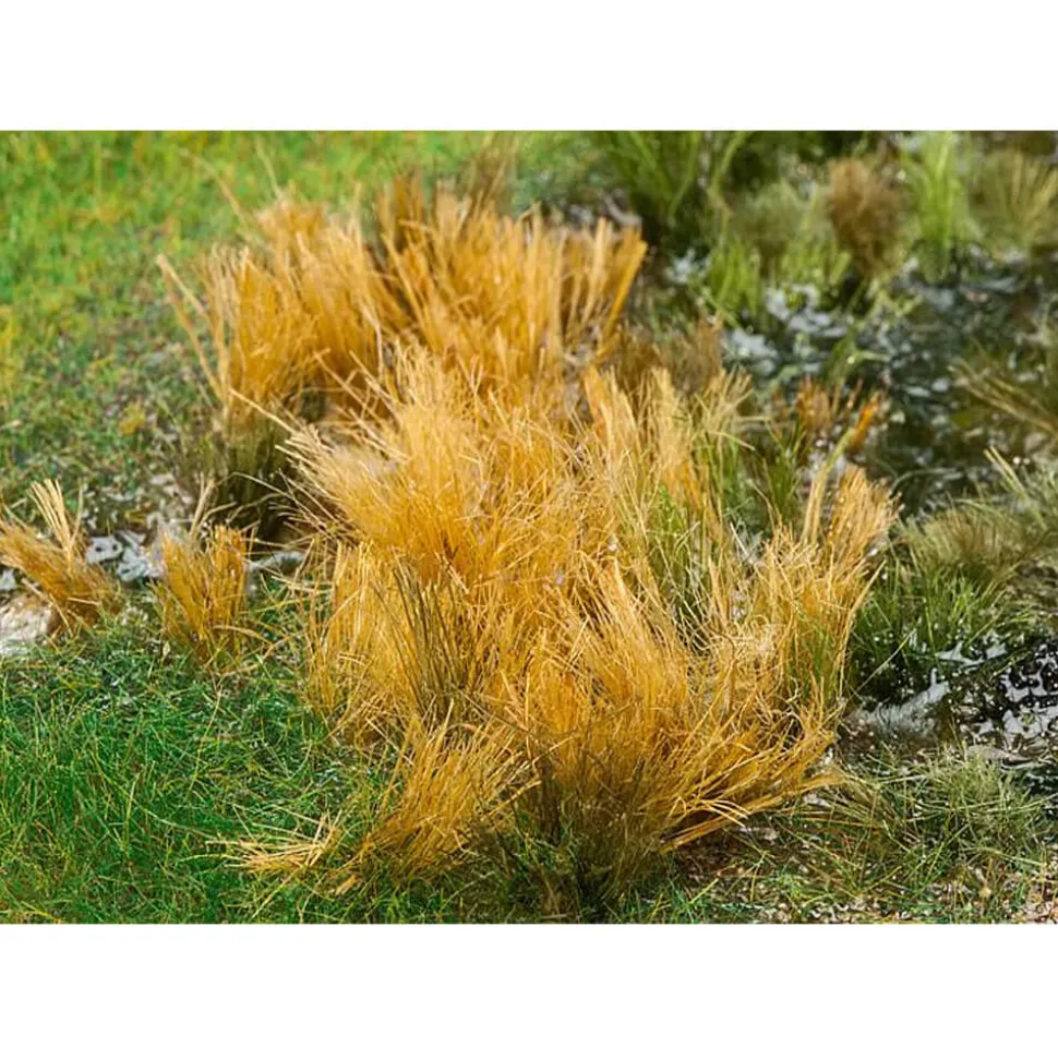 Modélisme : Végétation : Roseaux - Faller