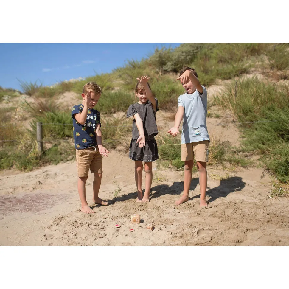 Oiseaux en action - BS Toys