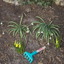 Outil Bosch : Râteau manche court - Klein