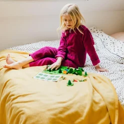 Parc'Ours en forêt - SmartGames