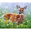 Peinture au numéro : Biche dans la prairie - sans châssis en bois - Figured'Art