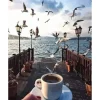 Peinture au numéro : Café et Mouettes au bord de l'eau - sans châssis en bois - Figured'Art