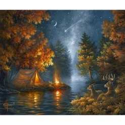 Peinture au numéro : Camping sous une nuit etoilée - sans châssis en bois - Figured'Art