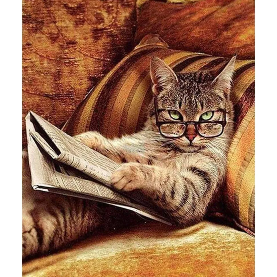 Peinture au numéro : Chat Connaisseur - sans châssis en bois - Figured'Art