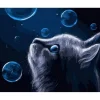 Peinture au numéro : Chat et Bulles bleues - sans châssis en bois - Figured'Art
