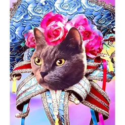 Peinture au numéro : Chat Mardigras - sans châssis en bois - Figured'Art