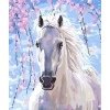 Peinture au numéro : Cheval et fleurs blanches - toile tendue sur châssis - Figured'Art