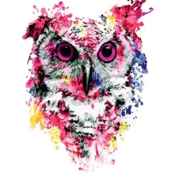 Peinture au numéro : Chouette rose moderne - toile tendue sur châssis - Figured'Art