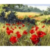 Peinture au numéro : Coquelicots champêtres - toile tendue sur châssis - Figured'Art