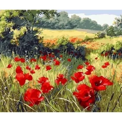Peinture au numéro : Coquelicots champêtres - toile tendue sur châssis - Figured'Art