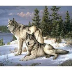 Peinture au numéro : Couple de loups - toile tendue sur châssis - Figured'Art