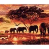Peinture au numéro : Eléphants au Coucher du soleil - sans châssis en bois - Figured'Art
