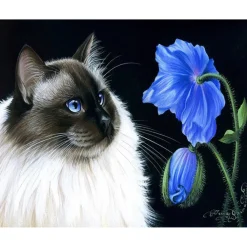 Peinture au numéro : Face à face floral - sans châssis en bois - Figured'Art