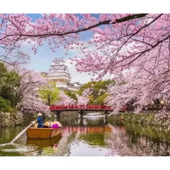 Peinture au numéro : Fleurs de cerisiers au Japon - sans châssis en bois - Figured'Art