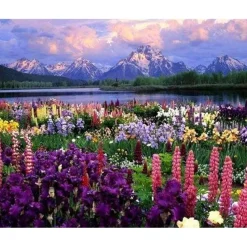 Peinture au numéro : Fleurs et Lac au pied de la Montagne - toile tendue sur châssis - Figured'Art