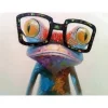Peinture au numéro : Grenouille et Lunettes - toile tendue sur châssis - Figured'Art