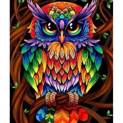 Peinture au numéro : Hibou coloré - sans châssis en bois - Figured'Art