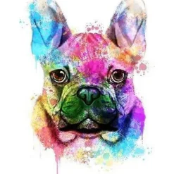 Peinture au numéro : Joli Chien en Couleurs - sans châssis en bois - Figured'Art