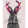 Peinture au numéro : Joli Lapin - sans châssis en bois - Figured'Art
