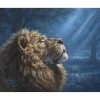 Peinture au numéro : Lion dans la pénombre - sans châssis en bois - Figured'Art