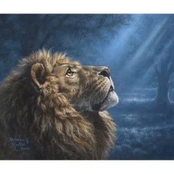 Peinture au numéro : Lion dans la pénombre - sans châssis en bois - Figured'Art