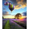Peinture au numéro : Montgolfières au dessus des Champs vertical - sans châssis en bois - Figured'Art