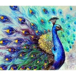 Peinture au numéro : Paon coloré - sans châssis en bois - Figured'Art