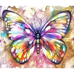 Peinture au numéro : Papillon coloré - sans châssis en bois - Figured'Art