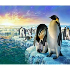 Peinture au numéro : Pingouins sur la banquise - toile tendue sur châssis - Figured'Art