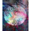 Peinture au numéro : Pleine Lune aux reflets multicolores - sans châssis en bois - Figured'Art
